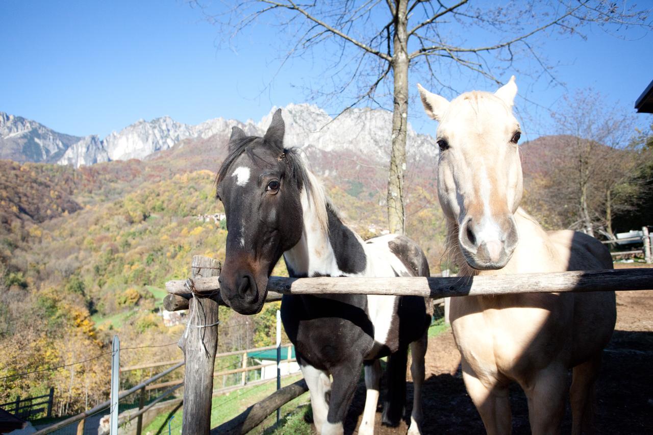 L'Angolo Di Paradiso Bed and Breakfast Valli del Pasubio Εξωτερικό φωτογραφία